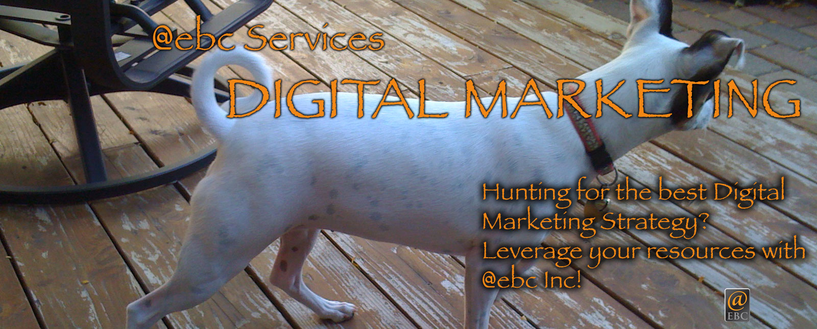 Digital Marketing Services